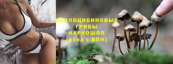 бутират Михайлов