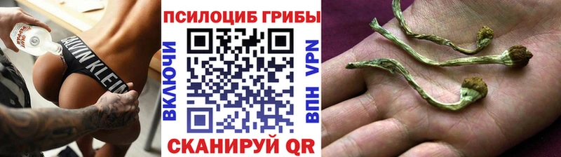 Псилоцибиновые грибы мицелий цены Полярный